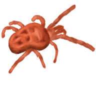 Allothrombium_UGC_V1.png