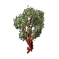Arbutus.png