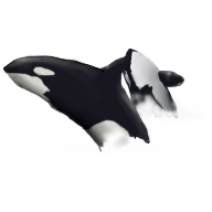 Orca.png