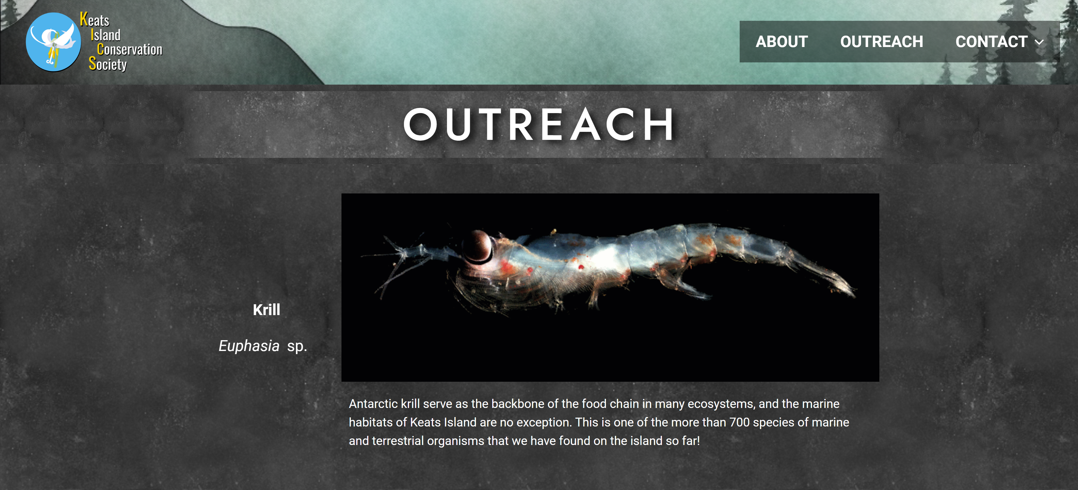 KICS outreach page